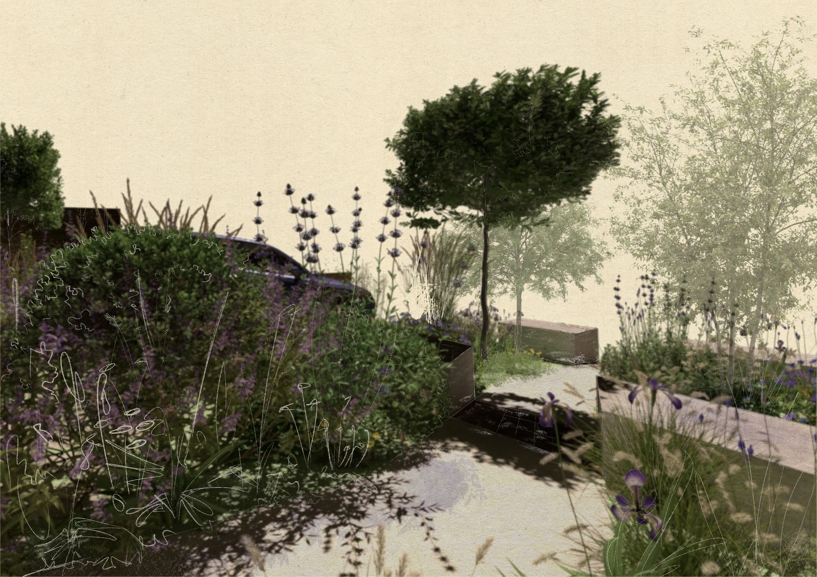 Design visual of a gravel path through soft, romantic front-garden planting with standard trees