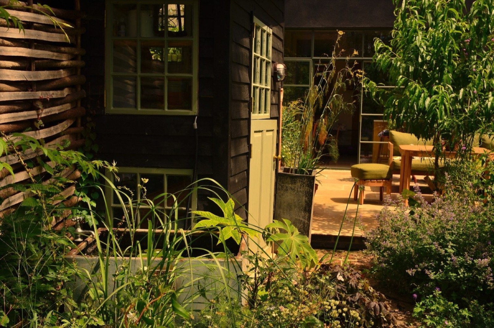 Garden office doors opening onto layered planting at Richmond Rd