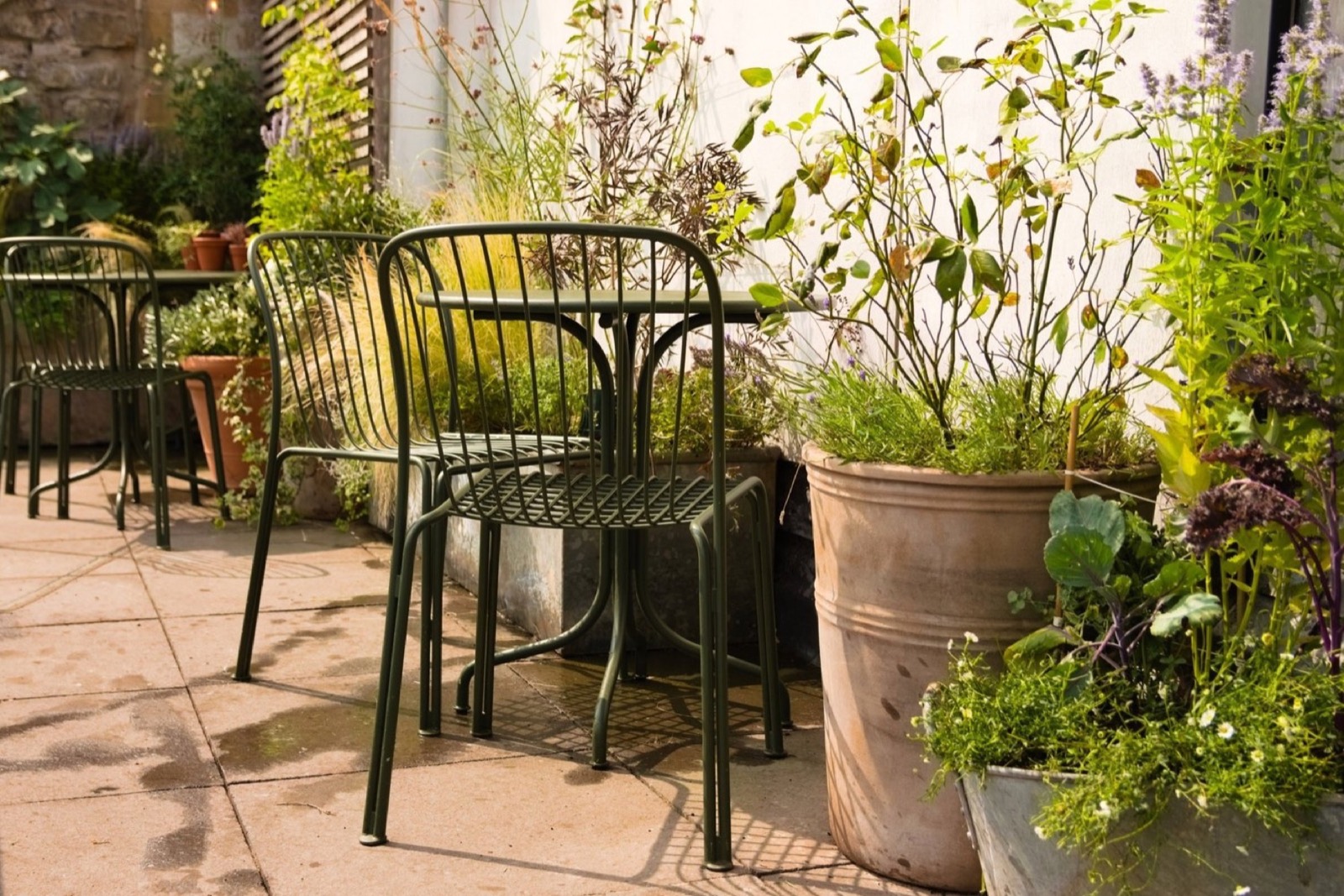 Planted pots and café tables on the Root and Koji rooftop in Bath